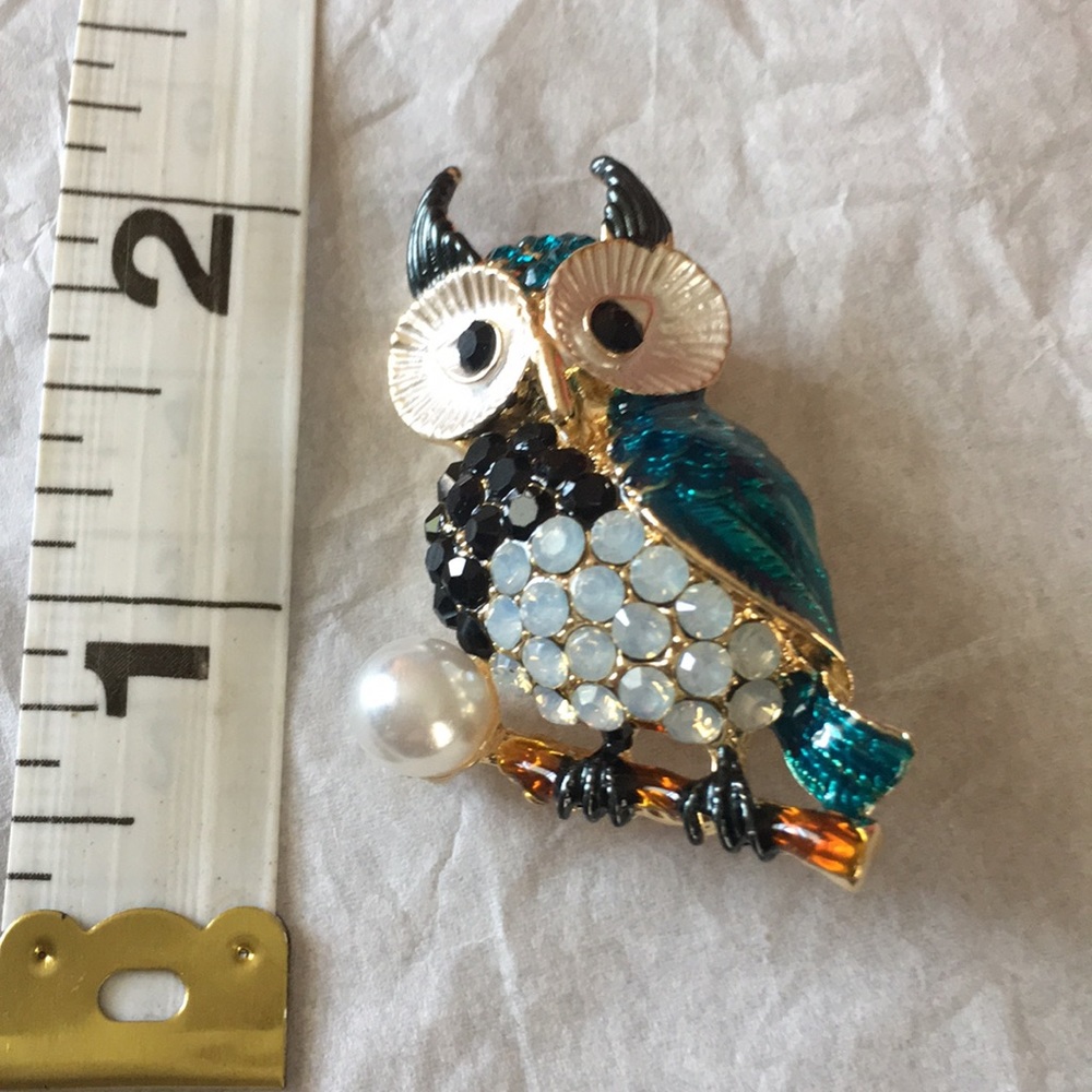 Jeweled owl brooch for fall & Halloween 🎃
